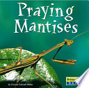 Praying Mantises cover