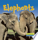 Elephants cover