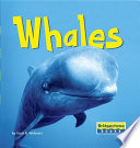 Whales cover