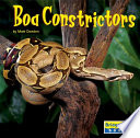Boa Constrictors cover