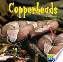 Copperheads cover