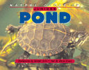 Pond cover