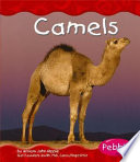 Camels cover