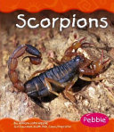 Scorpions cover