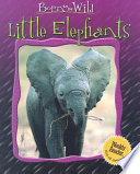 Little Elephants cover