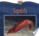 Squids cover