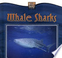 Whale Sharks cover