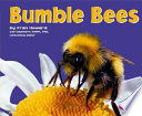Bumble Bees cover