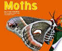 Moths cover