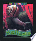 Mollusks cover