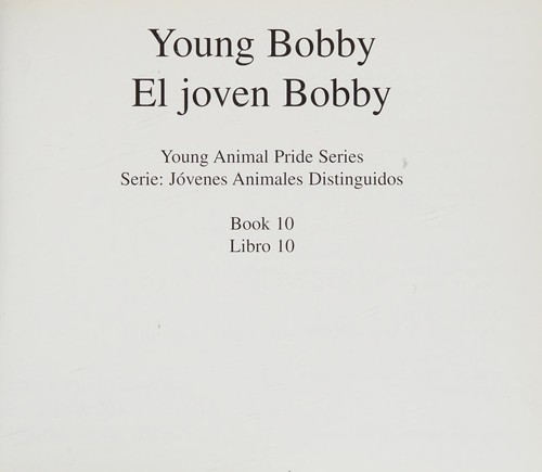 Young Bobby cover