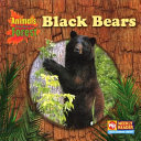 Black Bears cover
