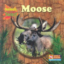 Moose cover