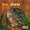 Owls cover