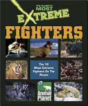 Fighters cover