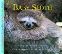 Baby Sloth cover
