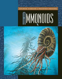 Ammonoids cover