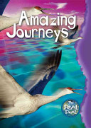 Amazing Journeys cover