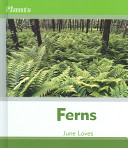 Ferns cover