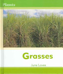 Grasses cover