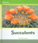 Succulents cover