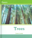 Trees cover