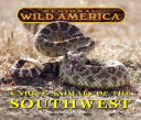 Unique Animals of the Southwest cover