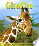 Giraffes cover