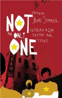 Not the Only One: Lesbian and Gay Fiction for Teens