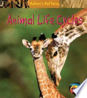 Animal Life Cycles cover