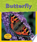 Butterfly cover