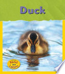 Duck cover