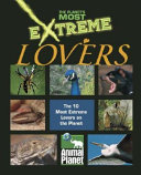 Lovers cover