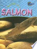 The Life of a Salmon cover
