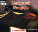 Macaroni Penguin cover