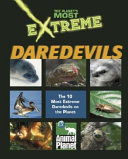 Daredevils cover