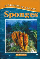 Sponges cover