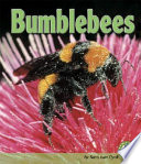 Bumblebees cover