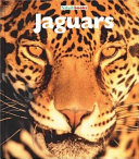 Pouncing Jaguars cover