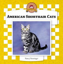 American Shorthair Cats cover