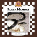 Black Mambas cover