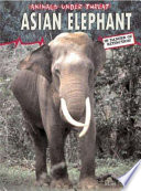 Asian Elephant cover