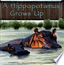 A Hippopotamus Grows Up cover