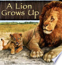 A Lion Grows Up cover