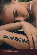 What Mr. Mattero Did cover