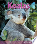 Koalas cover