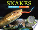 Snakes: Biggest! Littlest! cover