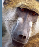 Baboons cover