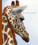 Giraffes cover