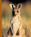 Kangaroos cover